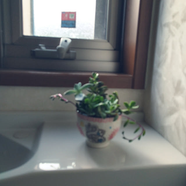 Rieさんの実例写真