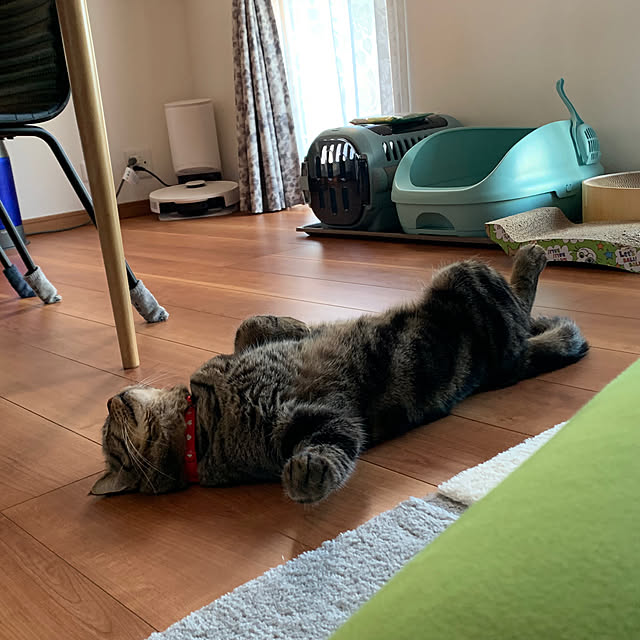 実例写真