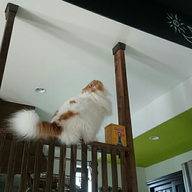 1ldksさんの実例写真
