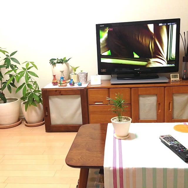 maiさんの実例写真