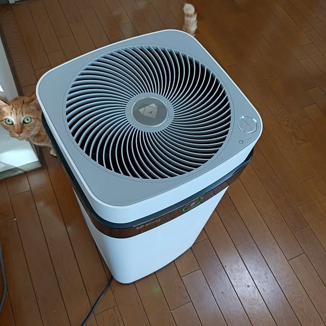 NOAHさんの部屋
