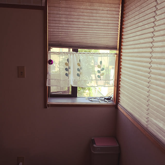ayuさんの実例写真