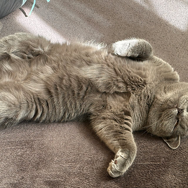 leoさんの実例写真