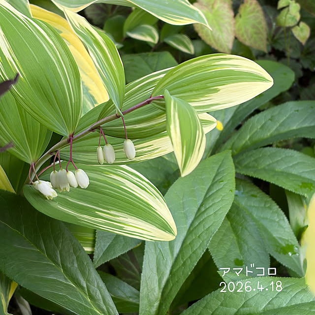 buchiさんの部屋