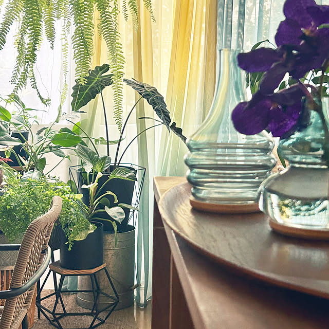 DAYONEさんの部屋