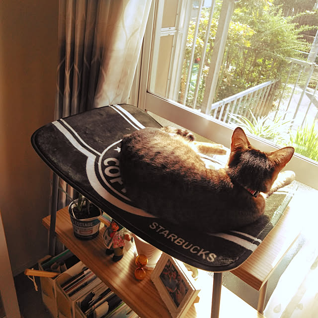 futukoさんの実例写真