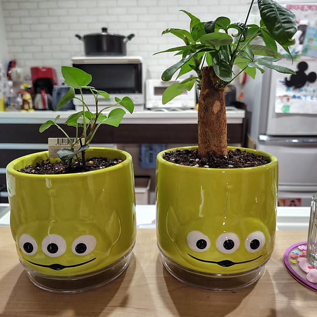 mahiroさんの実例写真