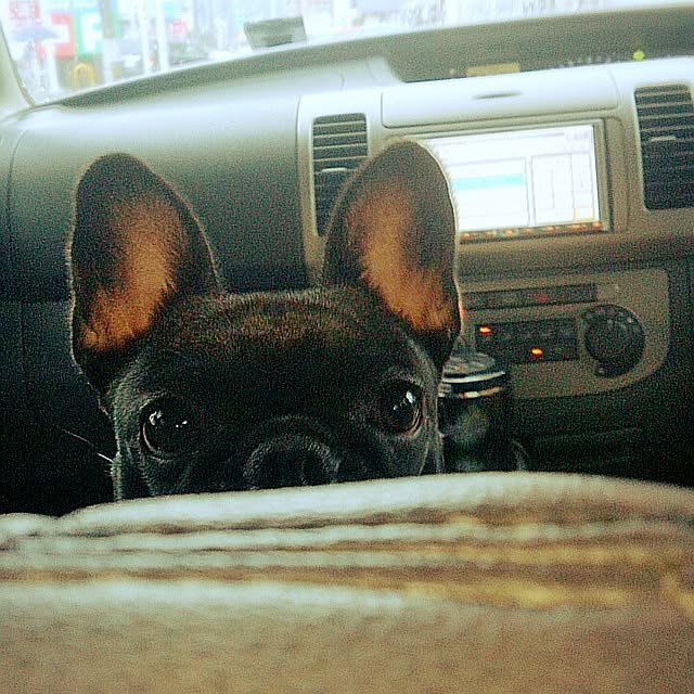 sumoさんの実例写真