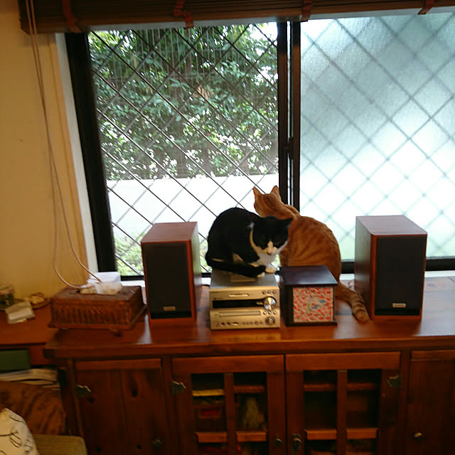 okyosan101さんの実例写真