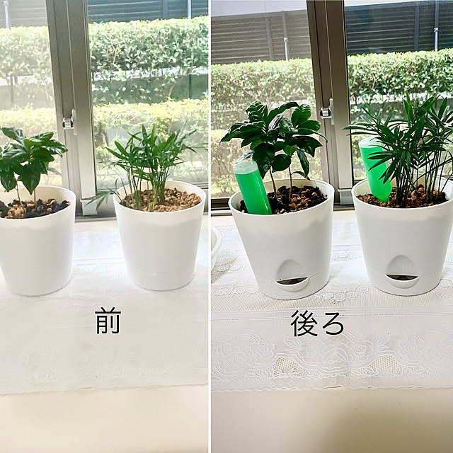 YuuKoさんの実例写真
