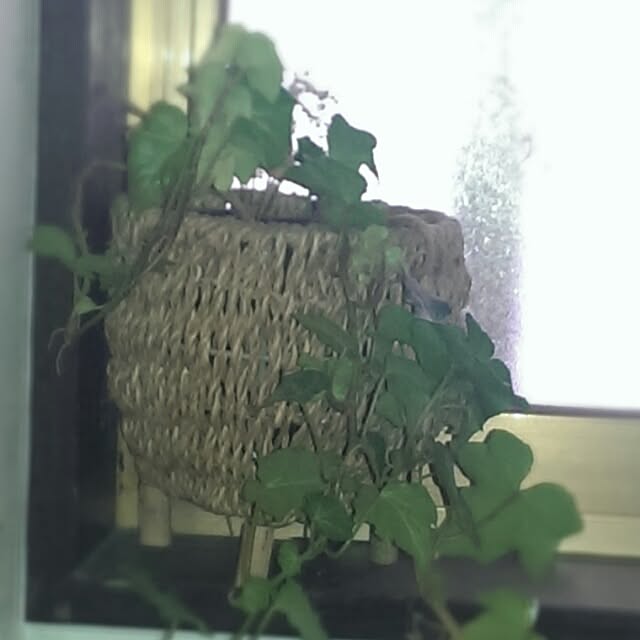 tibiさんの実例写真
