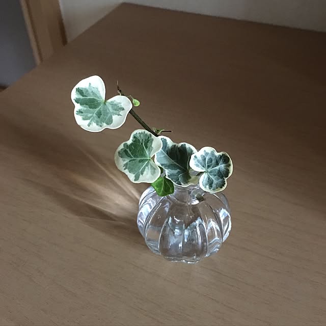 mi.....さんの実例写真