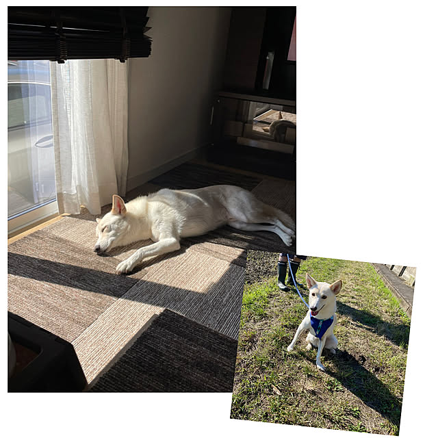 tanboさんの実例写真