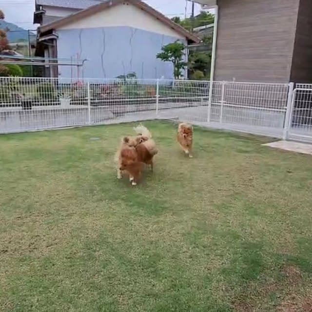 Yukaさんの実例写真