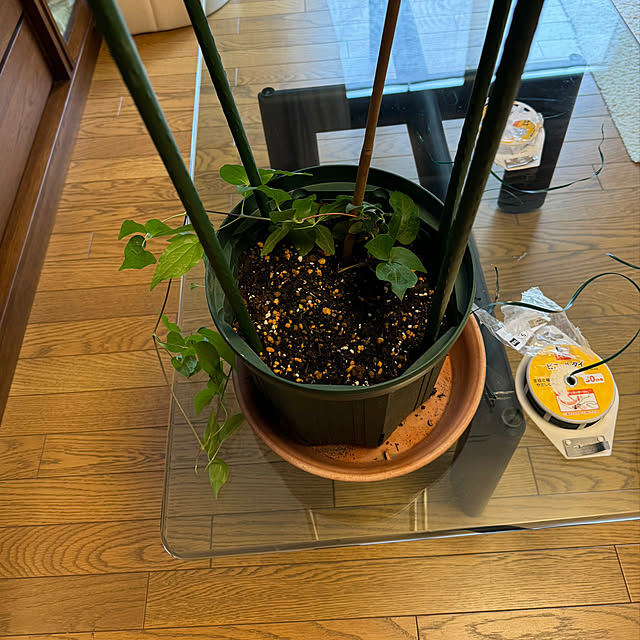 mamizaさんの部屋
