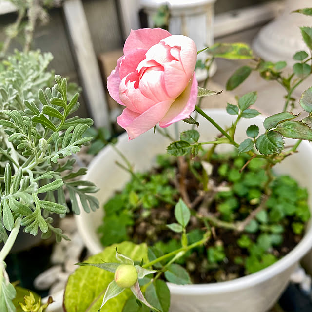 YuuKoさんの部屋