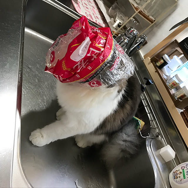 masakoさんの実例写真