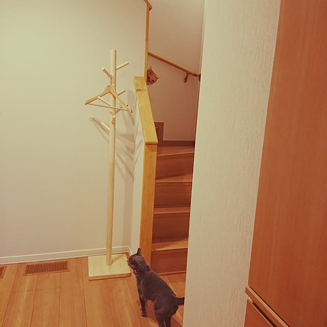 tetoさんの実例写真