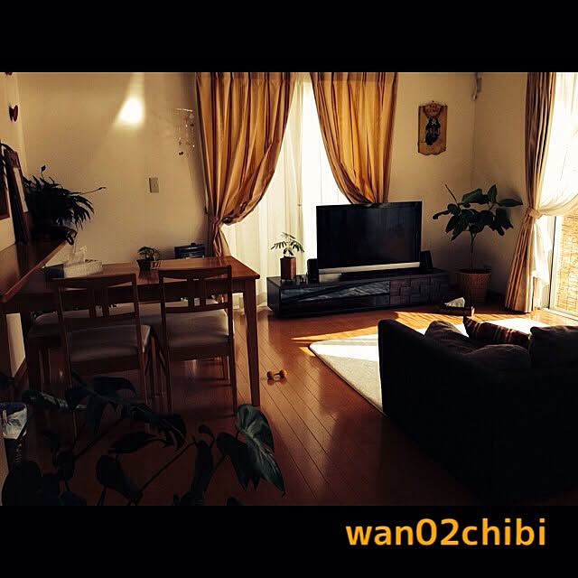wan02chibiさんの実例写真