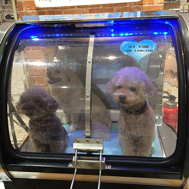 chocomamaさんの実例写真