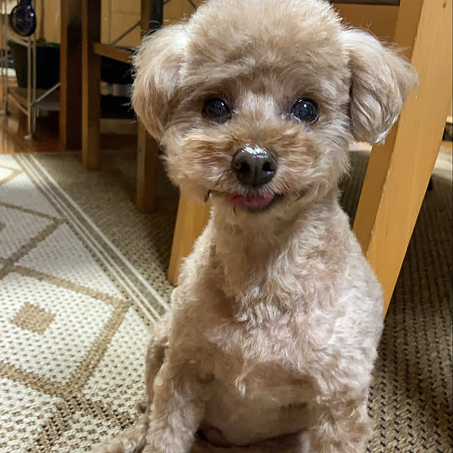 sayakaさんの実例写真
