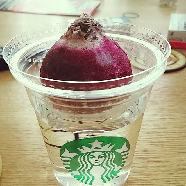 ayakomugikoさんの実例写真