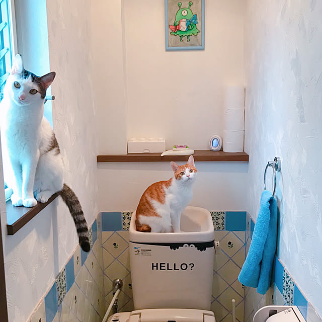 meさんの実例写真