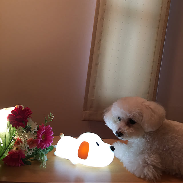kakoさんの実例写真