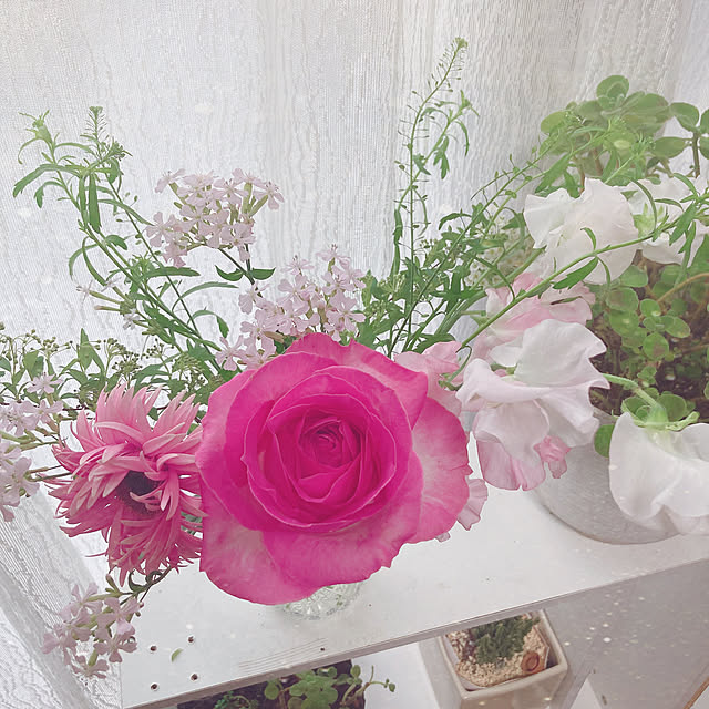 shoさんの部屋