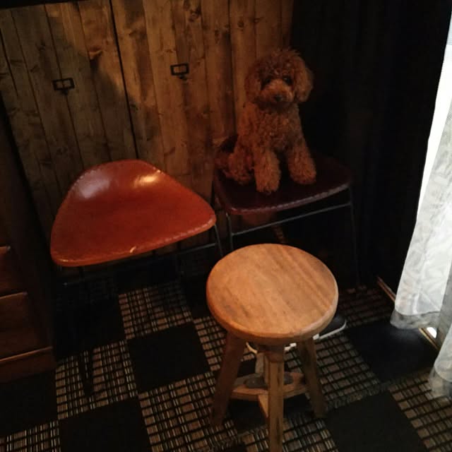 junkokoさんの実例写真