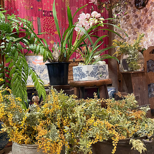 shin0719さんの実例写真