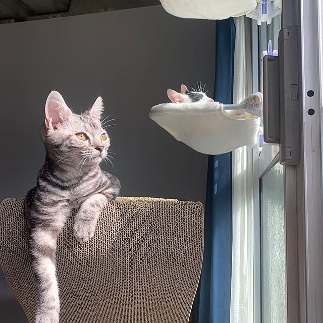 yuutamamehimaさんの部屋