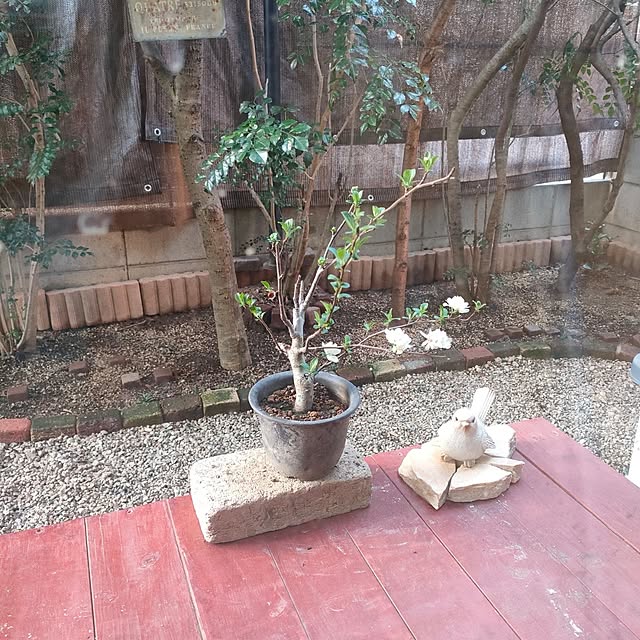 mori_6_12さんの部屋