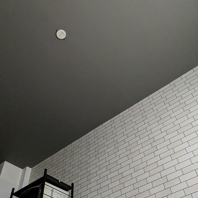 壁/天井のインテリア実例 - 2022-01-15 15:57:10