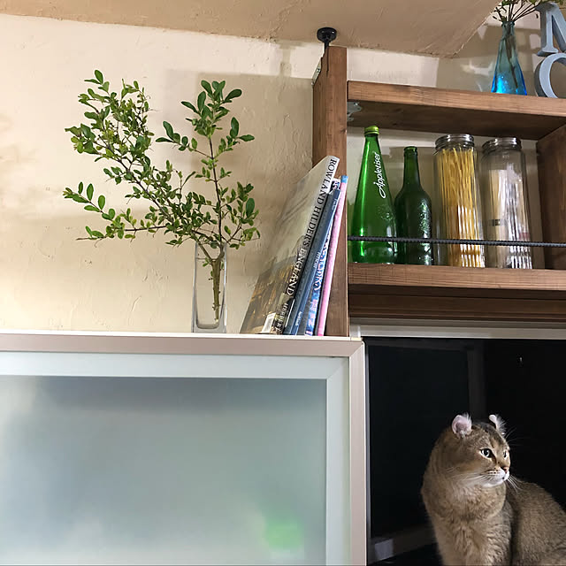 Emiさんの実例写真