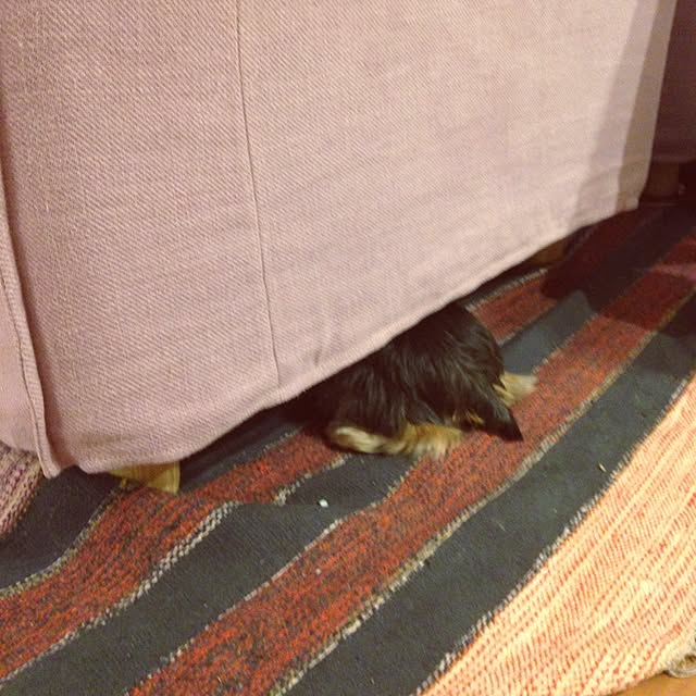 Enaさんの実例写真