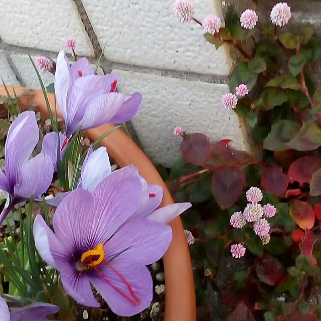mariagardenさんの実例写真