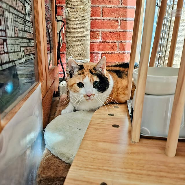 nanaさんの実例写真