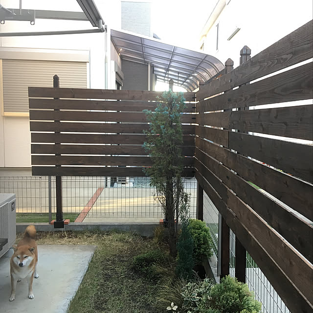 yoshieさんの実例写真