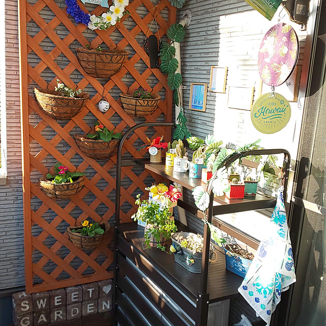 uki-uki77さんの実例写真