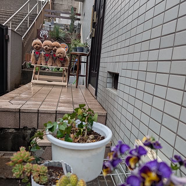 milk_hana_さんの部屋