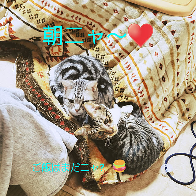 fruityanさんの実例写真