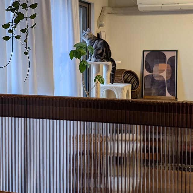 lovepeaceさんの部屋