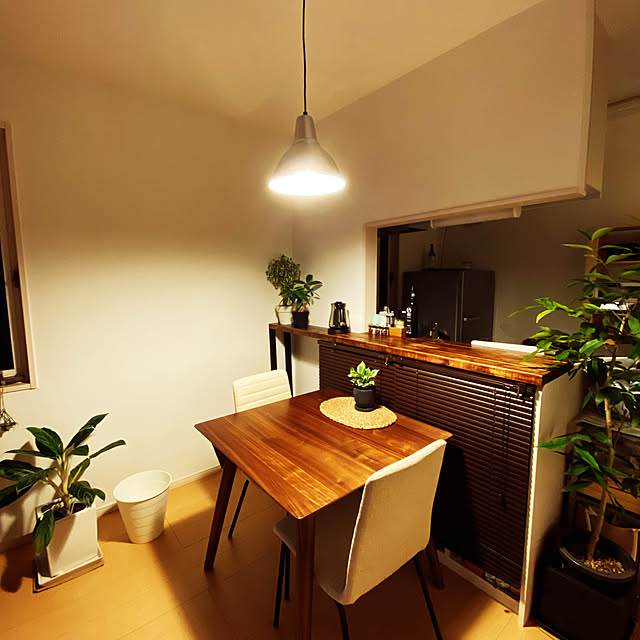 DIY/北欧/観葉植物/無印良品/IKEA...などのインテリア実例 - 2020-07-25 22:42:46