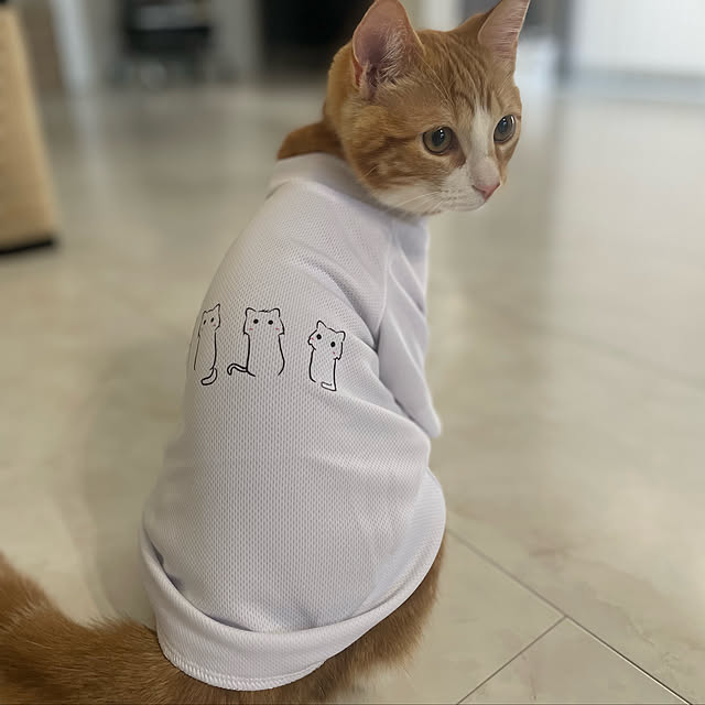maimaiさんの実例写真