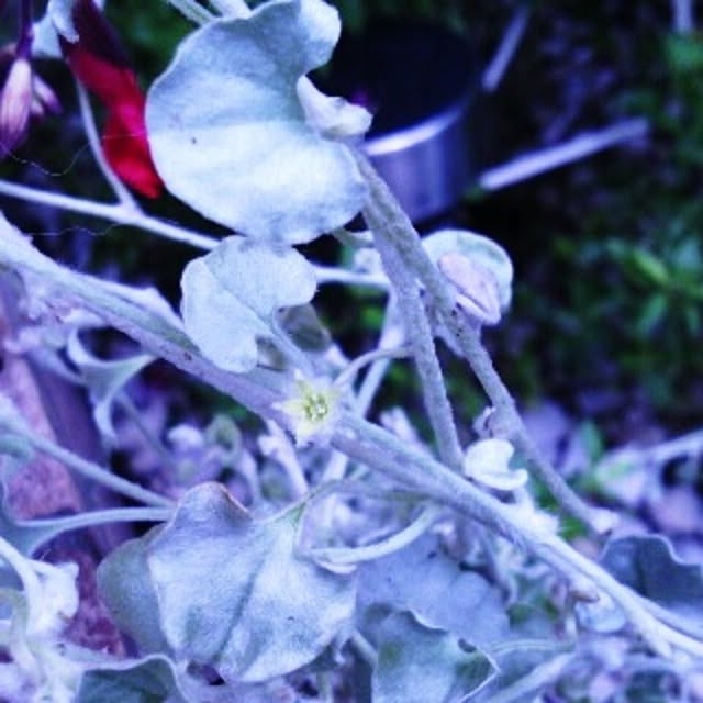 akr29さんの実例写真