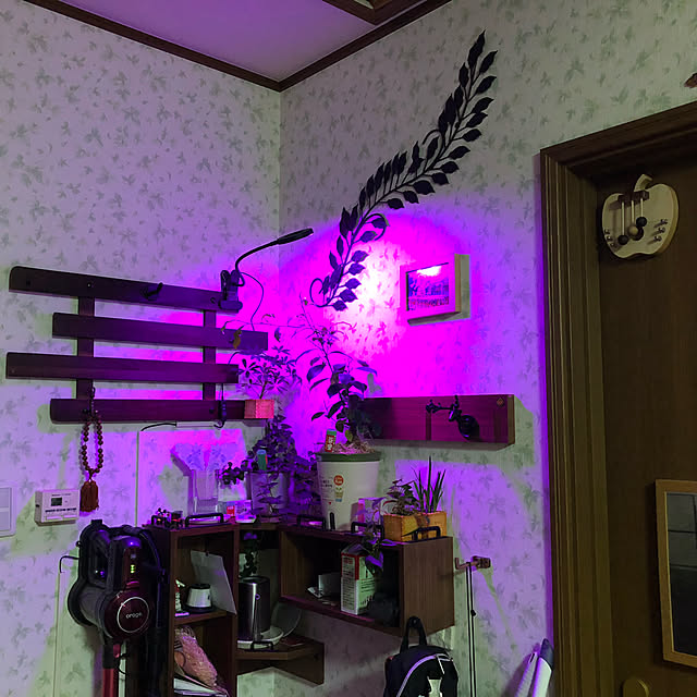 icchanさんの実例写真