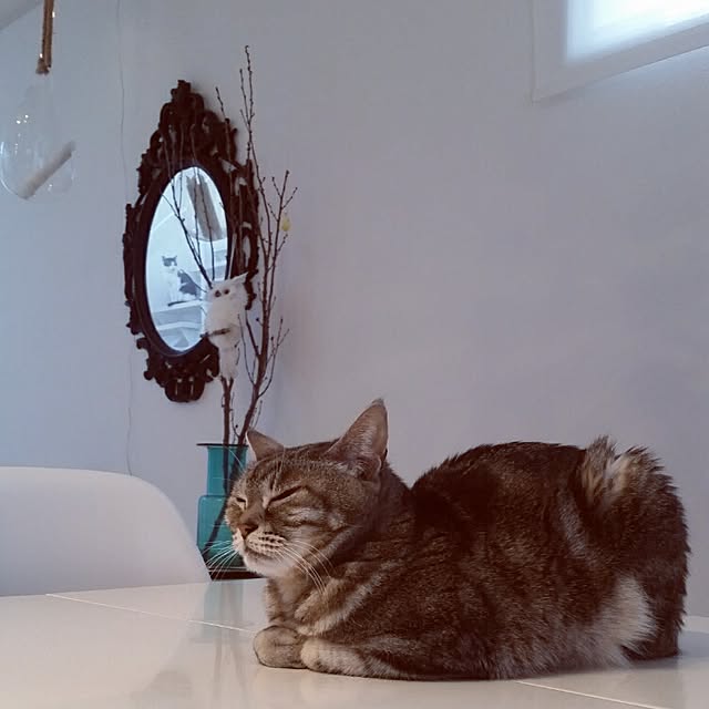 runayucoさんの実例写真