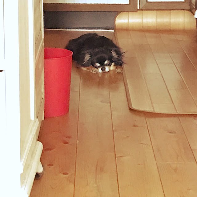 Chipさんの実例写真