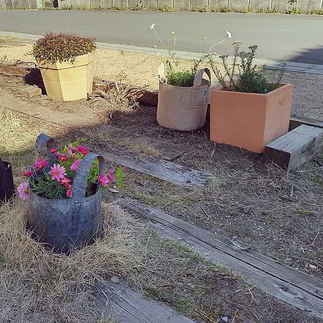 t.yumiさんの部屋